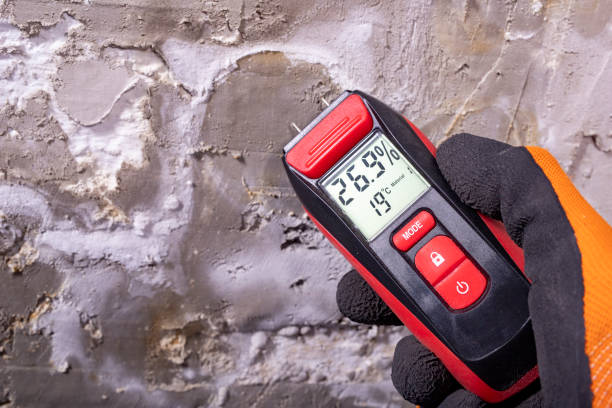 Fort Morgan, CO Mold Removal Company